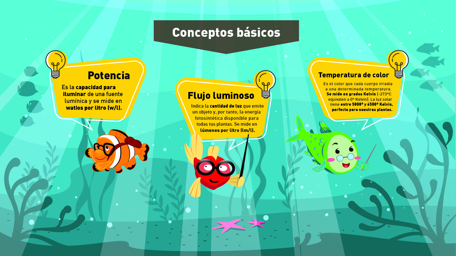 ILUMINACIÓN3